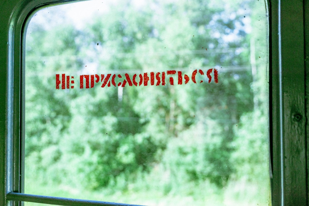 Елена Михайлова